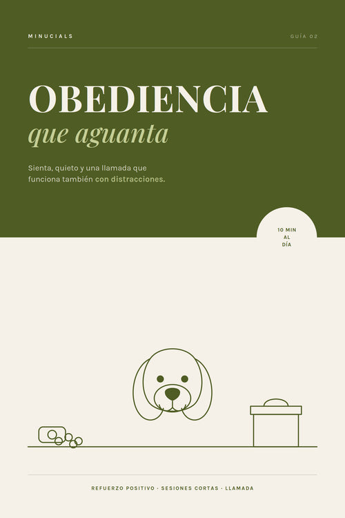 Ebook Obediencia que Aguanta