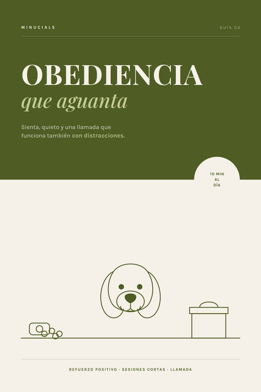 Ebook Obediencia que Aguanta